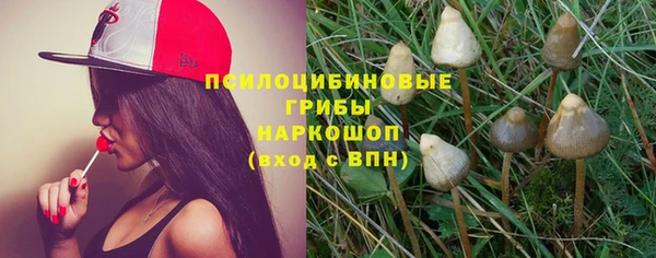 СК Навашино