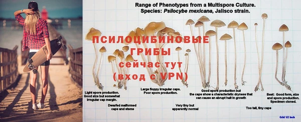 мефедрон Елизово