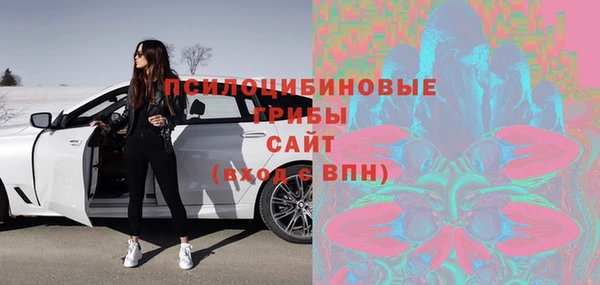 прущие грибы Бабаево