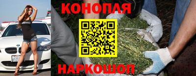 крисы Апрелевка