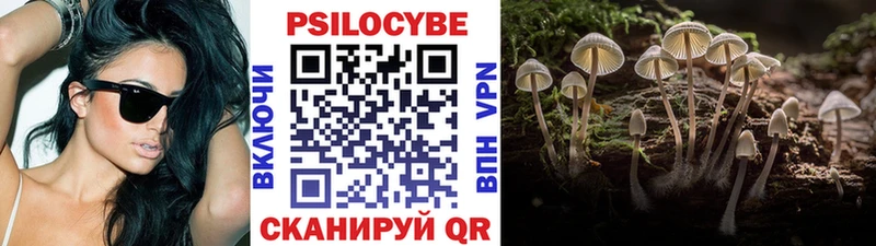 Псилоцибиновые грибы Psilocybe  Бугуруслан 