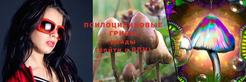 Галлюциногенные грибы Magic Shrooms  Бугуруслан 