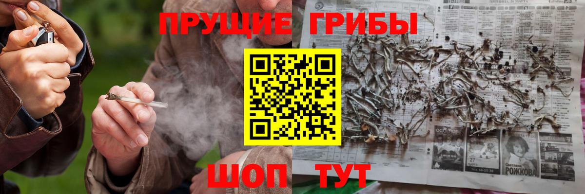 Псилоцибиновые грибы мицелий  Вход с VPN  Псилоцибиновые грибы Psilocybe  Бугуруслан 